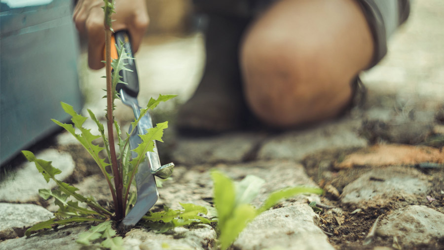 Couteau Xact Fiskars Couteau Xact Fiskars